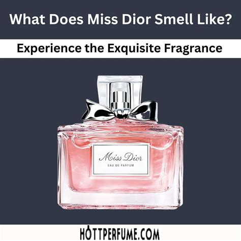 miss dior purfume|what does miss dior perfume smell like.